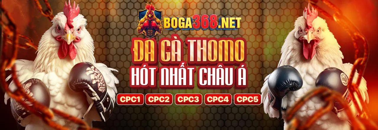Đá gà trực tuyến kịch tính tại f66 app